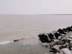 -南汇嘴观海公园