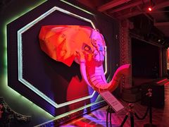 -疯克大象美式烤肉餐厅