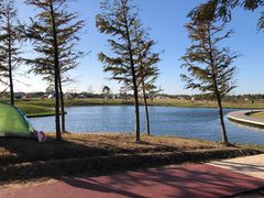 -春花秋色城市公园