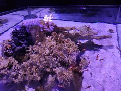-乌鲁木齐海洋馆