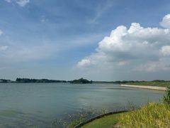 -贡湖湾湿地公园