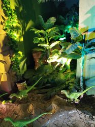 -恐龙探索乐园(磁器口店)