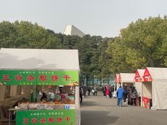 -国际非物质文化遗产博览园