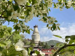 -五台山风景区