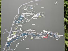 -云溪植物园