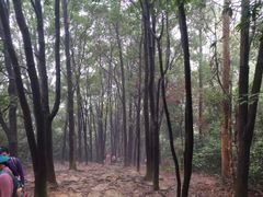 -火炉山森林公园