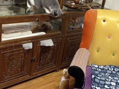 -半岛宠物医院24小时(科华中路店)