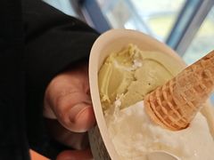 -极拉图·现制冰淇淋(大卫城店)