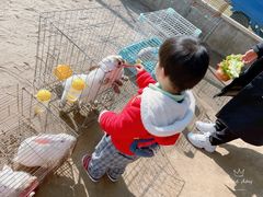 -前小桔亲子创意农场·草莓采摘·露营烧烤