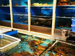 水产区-金时代顺风大酒店(协泰店)