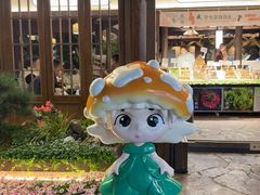 -菌自由丨野生菌火锅特色庭院餐厅(丽江古城店)