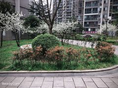 -奈雪的茶(亨特国际广场店)