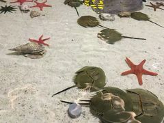 -福州罗源湾海洋世界旅游区