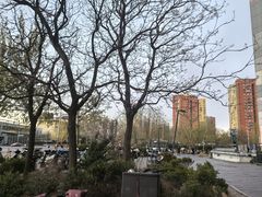 -呼家楼(地铁站)