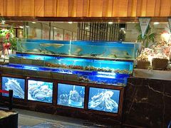 -喜庭海鲜自助(来福士店)