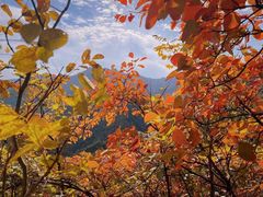-秦岭风景区