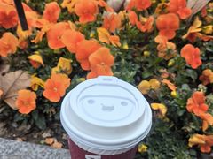 -COSTA COFFEE(上海虹口公园店)