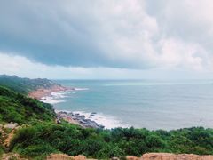 -广东惠东海龟国家级自然保护区