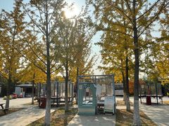 -永定河休闲森林公园