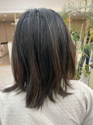 -秦·专注剪发