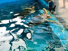 -成都浩海立方海洋公园