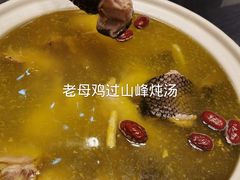 龙尾汤-金龙·打边炉(武进路店)