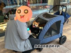 -京津佛罗伦萨小镇