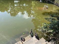 -阿育王寺