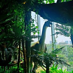 -恐龙探索乐园(磁器口店)