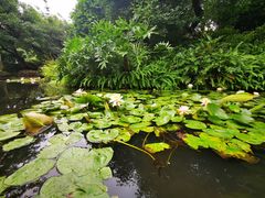 -晓港公园