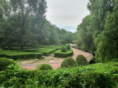 -长白岛森林公园