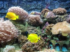 -北戴河圣蓝海洋公园