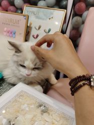 -Beauty Nails 美甲美睫皮肤管理