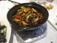 -金蝉食府(维吉奥广场店)