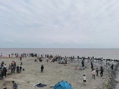 -南汇新城海滩