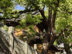 -普陀山风景名胜区-法雨禅寺