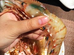 -割烹旭日本料理(龙湖狮山天街店)