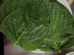 -松明一烤肉馆(鲁园店)