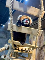 点击看大图 -Zoolung Zoolung动物主题公园(海信广场店)