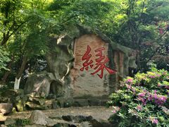 -杭州黄龙洞