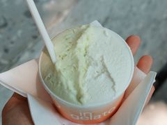 无花果叶-DIP in GELATO(富民路店)