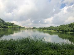-东莞植物园