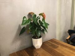 -川锅哎哟·麻辣香锅(国大城市广场店)