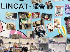 -lincat·猫舍(广州店)