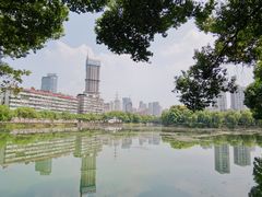 -宝岛公园