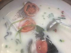 -全乐鱼馆·淳牌有机鱼直营店