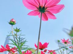 -二沙岛艺术公园