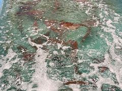 -海鮮寿司とれとれ市場