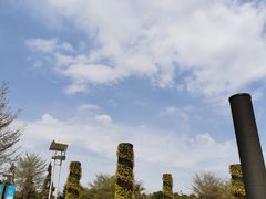 -聚龙山公园