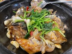 -华庭食府(光明店)
